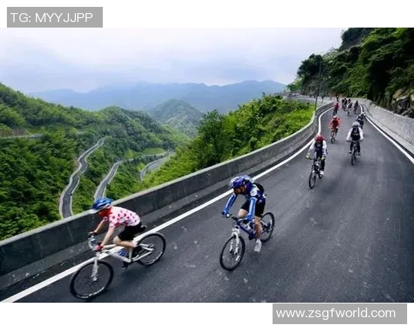 以体育精神为纽带推动全民健康与社会和谐发展的创新路径探索