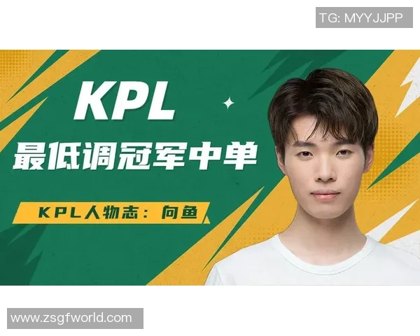 以向鱼王者为核心探讨团队协作与个人竞技在王者荣耀中的平衡之道