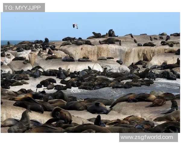 探寻世界著名足球俱乐部发展历史与文化影响的深度观察视野拓展行
