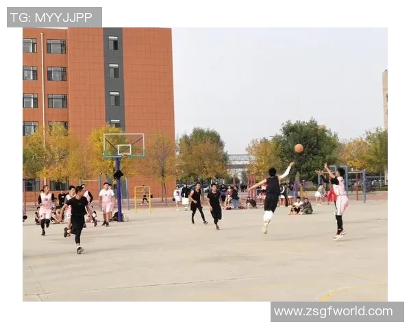 聚焦篮球运动员成长历程与赛场风采深度解读全面展现职业精神魅力