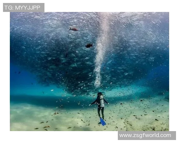 跳水运动的力量与美感探秘从惊险腾跃到优雅入水的极致艺术